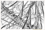 Brouillamini -- 07/02/13