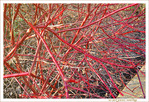 Rouge et Soleil d'Hiver -- 03/02/12