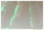Spectre�? -- 26/05/07