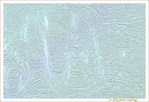 Reptilien -- 03/05/12