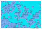 R�ves de Voyages�? -- 26/02/13
