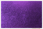 Mauve Perl� -- 16/08/15