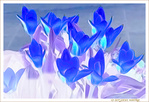 Etre ou ne pas �tre Fleur bleue�? -- 02/03/07