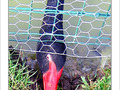 Noir, que suis-je�? -- 25/03/05
