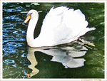Miroir, mon beau miroir, que fais-tu de mon reflet�? -- 14/11/09