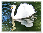 Miroir, mon beau miroir, que fais-tu de mon reflet�?