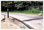 Il faut aller le chercher -- 05/08/10