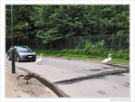 L'amiti� quand m�me...
