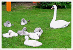 Attention�! Paparazzi�! Arr�tez de remuer les Enfants�! -- 17/07/12
