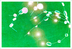 Doux passage vers 2024�!  -- 31/12/23