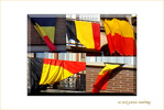 La Belgique dans tous ses �tats�! -- 19/10/07
