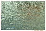 Marcher sur l'Eau