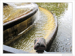Fra�cheur en cascades