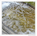 Jet d'eau
