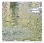Ronds dans l'eau