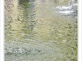 Ronds dans l'eau -- 13/09/09