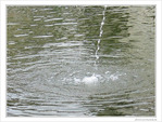 Une goutte dans l'oc�an