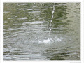 Une goutte dans l'oc�an -- 28/10/09