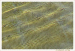 Texture -- 01/09/10