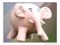 El�phant vole�! -- 18/05/06