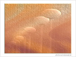 L'automne a pr�par� le solennel adagio de l'hiver -- 09/01/06