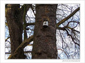 Protection -- 02/05/05