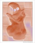 Fant�me de Halloween -2- -- 29/10/07