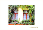 Cocon douillet ... -- 15/11/04
