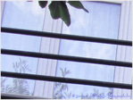 Transparence vitr�e -- 01/10/10