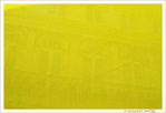 Jaune Drapeau