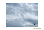 F�te nationale 2009 par la lucarne -- 21/07/09
