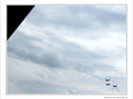 F�te nationale 2009 par la lucarne -- 21/07/09