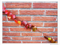 Guirlande rouge -- 27/11/09