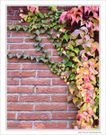 D�cor mural -1-