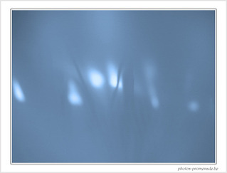 Feux follets