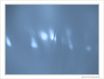 Feux follets