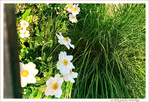 Sous le Soleil -13- �t� 2021 -- 25/09/21