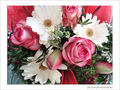 Bouquet de printemps -- 06/05/08