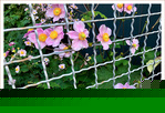 Sous le Soleil -12- �t� 2021 -- 22/09/21