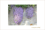 Lilas cascade -- 06/05/09