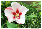 �a fleure la fin de l'�t� ou pas�?