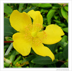 Tout de jaune v�tue -- 22/09/09