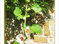 Mur d'octobre -- 12/10/06