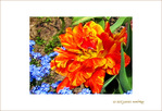 Fleur papier Cr�pon rouge Soleil