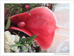 Ca fleure le printemps