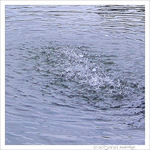 Oh�! Fra�cheur�! -- 03/09/09