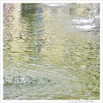 Ronds dans l'eau