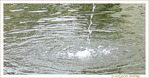 Une goutte dans l'oc�an -- 28/10/09