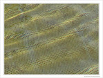 Texture -- 01/09/10