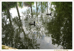Si on Jouait � celui qui fait le plus de Ronds dans l'Eau�? -- 30/08/12
